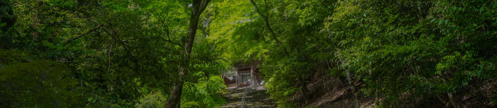 お寺の写真