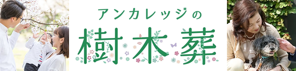 バナー