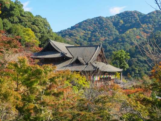 お寺の写真